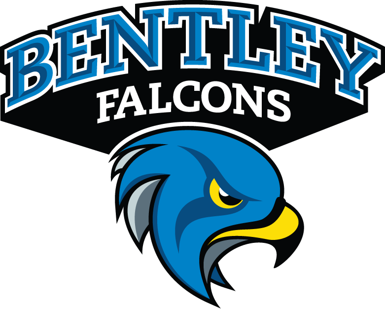 Bentley Falcons 2013-Pres Secondary Logo diy DTF decal sticker